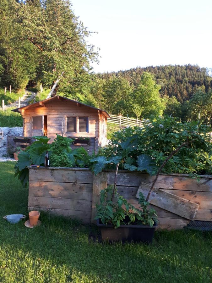 Landhaus Ziegelstadel ヴィンディッシュガルシュテン エクステリア 写真
